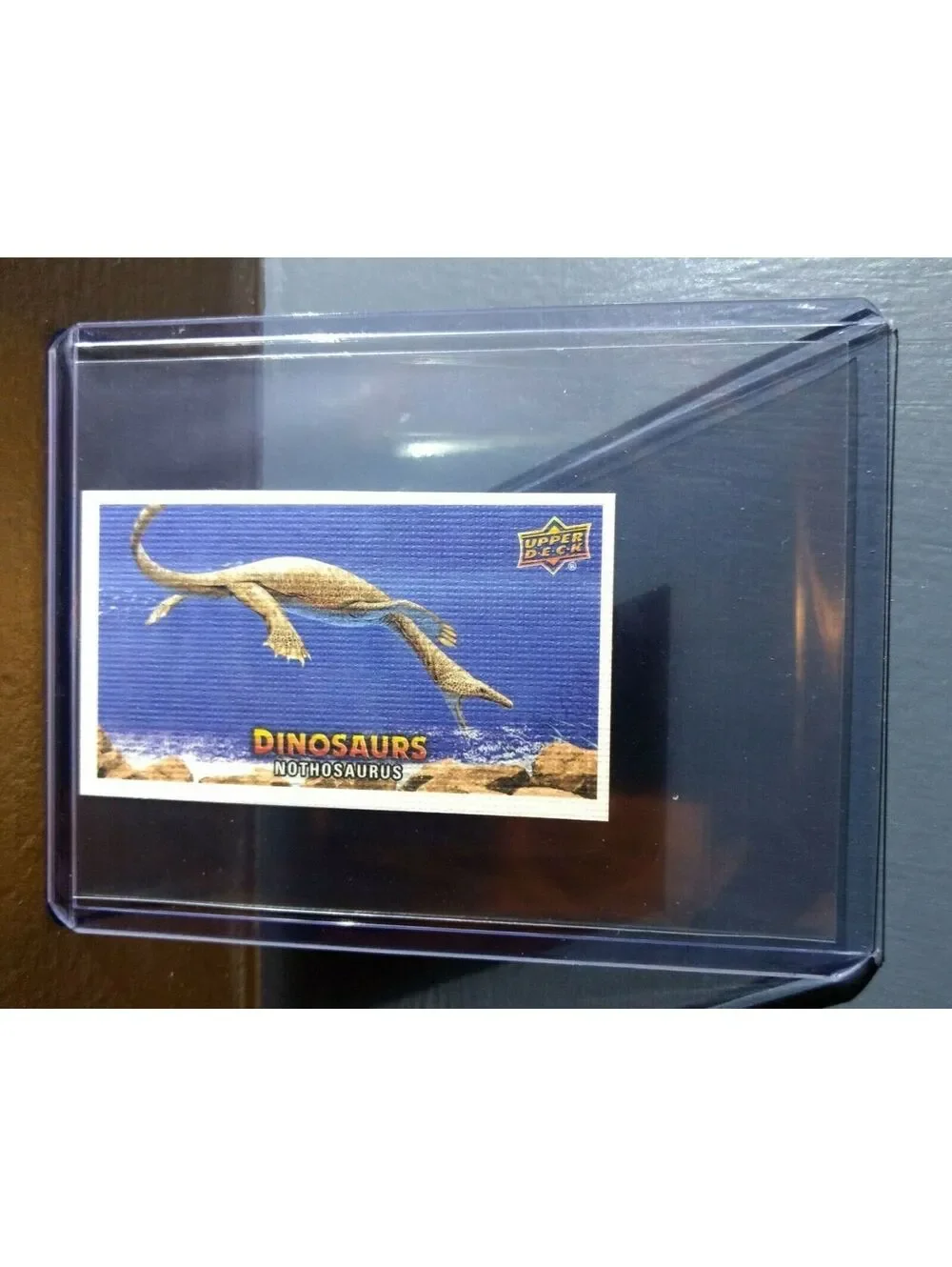2015 Upper Deck Dinosaurs Canvas Mini Nothosaurus #101 Trading Card